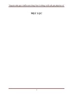 nguyên nhân gây ô nhiễm nước sông vàm cỏ đông tỉnh tây ninh và các biện pháp bảo vệ nước sông khỏi sự ô nhiễm