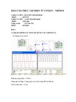 BÁO cáo THỰC tập điện tử cơ bản – NHÓM 8 