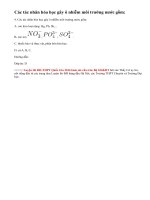 Bài 4 trang 204 sgk hóa học 12