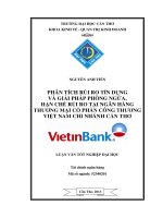 phân tích rủi ro tín dụng và giải pháp phòng ngừa, hạn chế rủi ro tại ngân hàng thương mại cổ phần công thương việt nam chi nhánh cần thơ