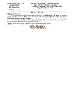 Dơnload đề thi+hướng dẫn chấm thi tốt nghiệp nghề phổ thông môn tin học THPPT tháng 03 năm 2008 tỉnh qung bình 