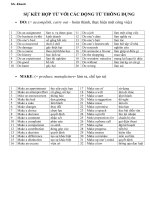 Sự kết hợp từ với các động từ thông dụng