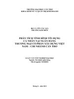 phân tích tình hình tín dụng cá nhân tại ngân hàng thương mại cổ phần xây dựng việt nam – chi nhánh cần thơ