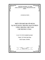 phân tích rủi ro tín dụng tại ngân hàng thương mại cổ phần công thương việt nam chi nhánh cà mau
