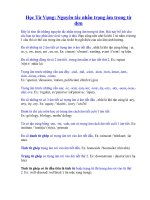 Học từ vựng(trong am)