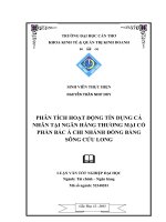 phân tích hoạt động tín dụng cá nhân tại ngân hàng thương mại cổ phần bắc á chi nhánh đồng bằng sông cửu long
