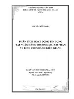 phân tích hoạt động tín dụng tại ngân hàng thương mại cổ phần an bình chi nhánh kiên giang