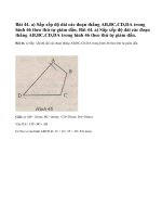 Bài 44 trang 119 - Sách giáo khoa toán 6 tập 1