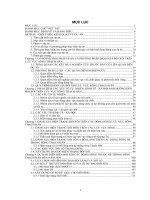 Đánh giá tình hình xói lở và bồi lắng các dòng sông trên hệ thống sông nam thạch hãn tỉnh quảng trị