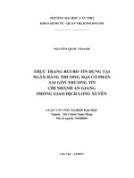 thực trạng rủi ro tín dụng tại ngân hàng thương mại cổ phần sài gòn thương tín chi nhánh an giang phòng giao dịch long xuyên
