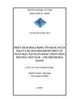 phân tích hoạt động tín dụng ngắn hạn và dự báo doanh số cho vay ngắn hạn tại ngân hàng tmcp công thương việt nam – chi nhánh hậu giang