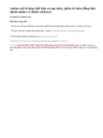 Lý thuyết về amino axit.