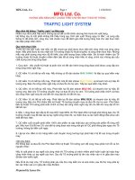 Traffic light Vietnamese version