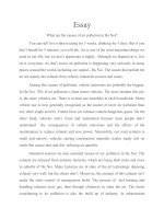 Short essay what are the causes of air pollution in ha noi  nguyên nhân ô nhiễm không khí ở hà nội 