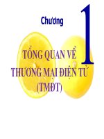 Tổng quan về Thương mại điện tử  slide bai giảng Đại học thương mại.