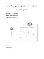 BÁO cáo THỰC tập điện tử cơ bản – NHÓM 11 
