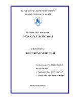 tiểu luận khử trùng nước thải