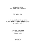 phân tích rủi ro tín dụng tại agribank chi nhánh huyện tháp mười tỉnh đồng tháp