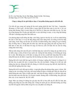 báo cáo thực tập giới thiệu về công ty STF việt nam