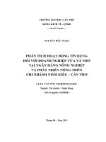 phân tích hoạt động tín dụng đối với doanh nghiệp vừa và nhỏ tại ngân hàng nông nghiệp và phát triển nông thôn chi nhánh ninh kiều – cần thơ