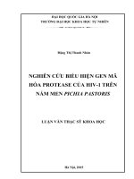 Nghiên cứu biểu hiện gen mã hóa protease của HIV 1 trên nấm men pichia pastoris
