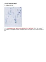 Lý thuyết Mạch có R, L, C mắc nối tiếp.