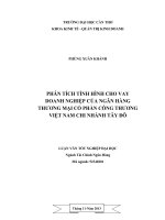phân tích tình hình cho vay doanh nghiệp của ngân hàng thương mại cổ phần công thương việt nam chi nhánh tây đô