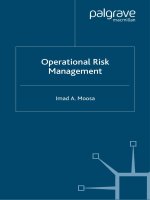 operational risk management 
