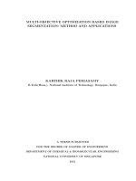 Multi objective optimization based image segmentation method and applications 