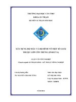 xây dựng bộ mẫu và bộ hình vẽ một số loài thuộc lớp côn trùng (insecta)