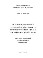 phân tích rủi ro tín dụng tại ngân hàng nông nghiệp và phát triển nông thôn việt nam chi nhánh trần đề  sóc trăng