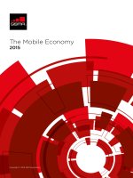 GSMA Global  The Mobile Economy Report 2015