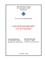 giải tích hàm một biến và các ứng dụng