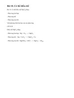 Bài 10 trang 90 sgk hoá học 10