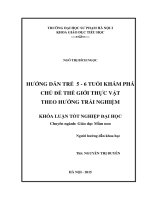 Hướng dẫn trẻ 5, 6 tuổi khám phá chủ đề thế giới thực vật theo hướng trải nghiệm