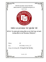 So sánh môi trường đầu tư của việt nam với môi trường đầu tư của myanma, malaysia