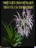 Bài giảng sinh học lớp 9 thực hành quan sát hình thái nhiễm sắt thể t (8) 