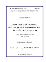 Đánh giá kết quả sớm của phẫu thuật nội soi ngoài phúc mạc cắt tuyến tiền liệt tận gốc