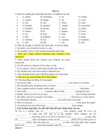 Đề kiểm tra tiếng anh lớp 7
