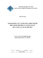 ảnh hưởng của tuổi gốc ghép mướp đến sinh trưởng và năng suất dưa leo, vụ xuân hè 2013
