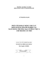 phân tích hoạt động cho vay khách hàng doanh nghiệp tại ngân hàng thương mại cổ phần việt á chi nhánh cần thơ