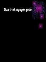 Bài giảng sinh học lớp 9 thực hành quan sát hình thái nhiễm sắt thể t (2) 