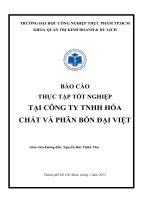 báo cáo thực tập công ty TNHH hóa chất và phân bón đại việt