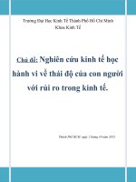 Nghiên cứu kinh tế học hành vi về thái độ của con người với rủi ro trong kinh tế