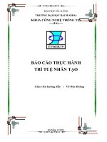 Báo cáo thực hành trí tuệ nhân tạo