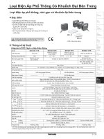 LOẠI điện áp PHỔ THÔNG có KHUẾCH đại bên TRONG