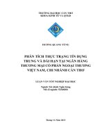 phân tích thực trạng tín dụng trung và dài hạn tại ngân hàng thương mại cổ phần ngoại thương việt nam, chi nhánh cần thơ