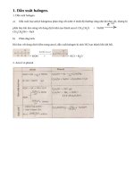 Lý thuyết luyện tập: Dẫn xuất halogen, ancol và phenol