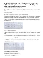 Lý thuyết thành phần nguyên tử