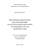 phân tích hoạt động tín dụng đối với doanh nghiệp tại ngân hàng thương mại cổ phần xuất nhập khẩu việt nam chi nhánh cần thơ